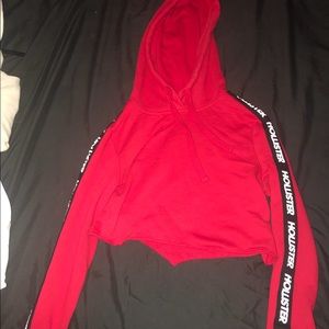 Hollister Crop Top Hoodie